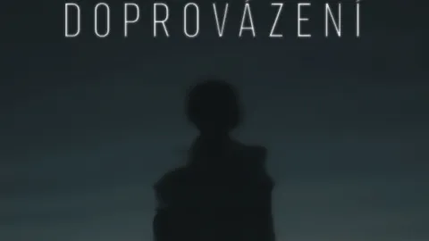 Doprovázení