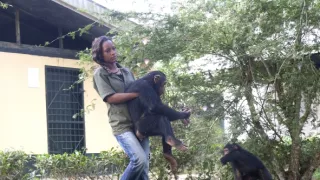 Útulok pre záchranu šimpanzov Jane Goodallovej (1/6)