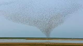 Nezkrotná Skandinávie (2)