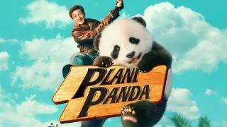 Panda terv