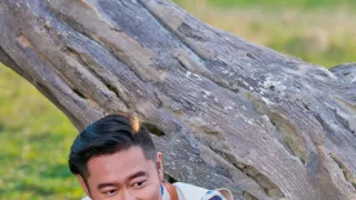 Panda terv