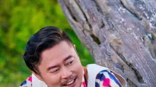 Panda terv
