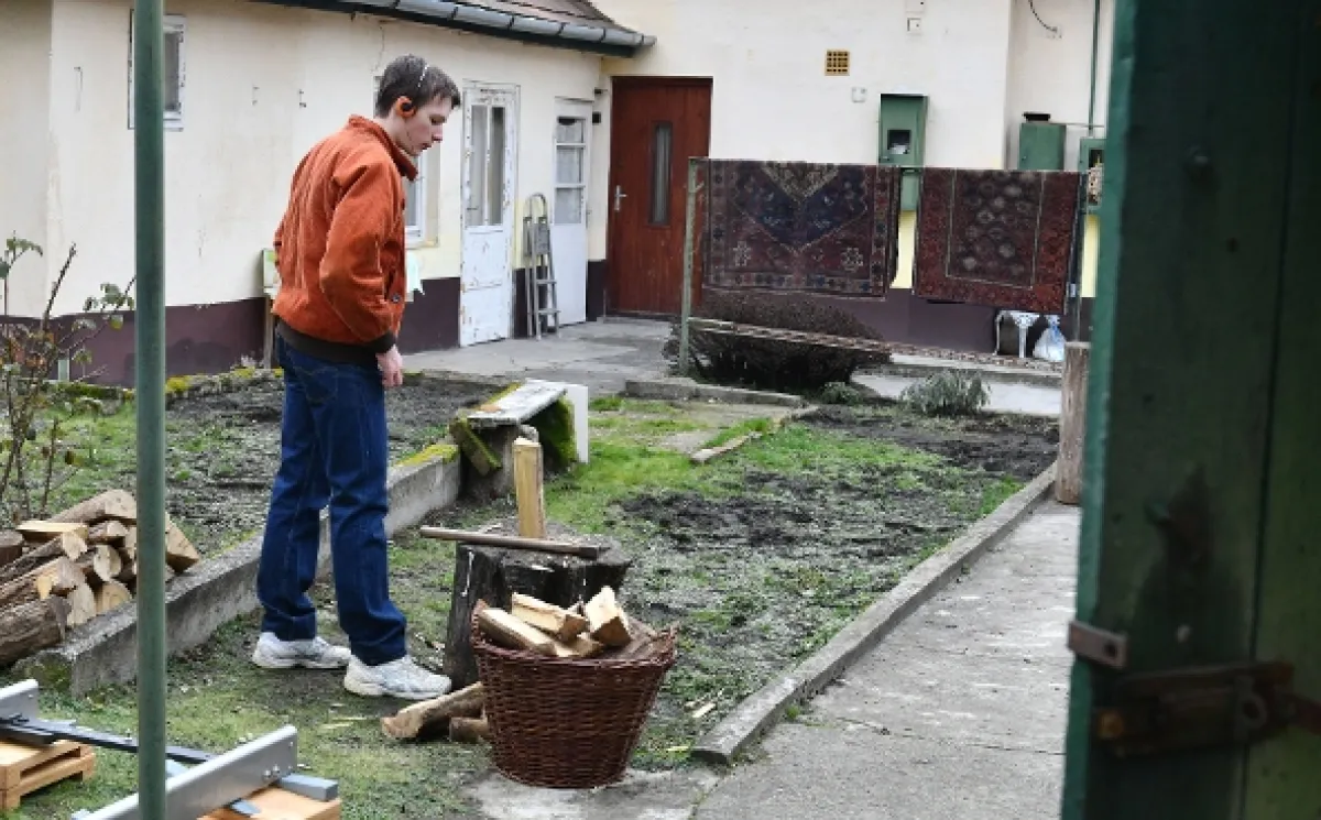 Keselyű, 2026 - fotogaléria