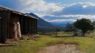 Domov kunovca východného