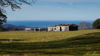 Domov kunovca východného