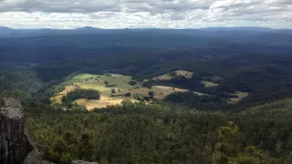 Domov kunovca východného