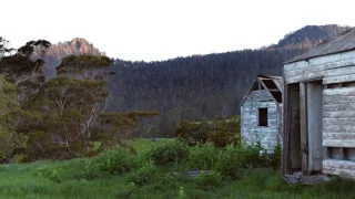 Domov kunovca východného