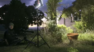 Domov kunovca východného