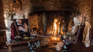 Sokolnictví - vznešené umění lovu