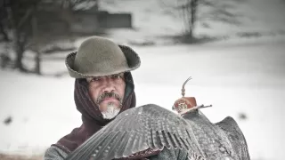 Sokolnictví - vznešené umění lovu