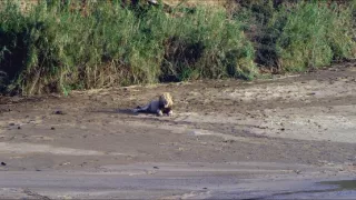 Afrikou letom svetom (2/6)