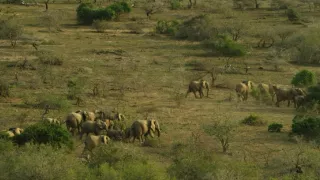 Afrikou letom svetom (2/6)