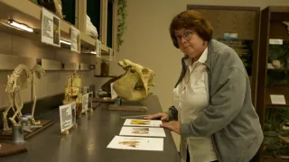 Rozlúštené poklady