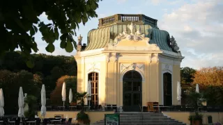 Úžasná zvířata