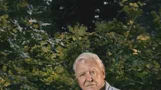 Zázračná planéta: Zelená planéta (5/5)