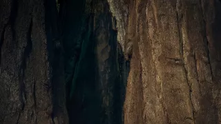 Zázračná planéta: Zelená planéta (5/5)