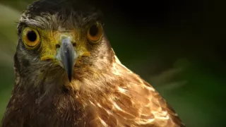 Život v extrémních podmínkách (3/3)