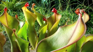 Život v extrémních podmínkách (3/3)