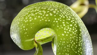 Život v extrémních podmínkách (3/3)