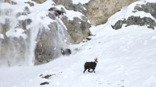 Život v extrémních podmínkách (3/3)