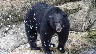 Život v extrémních podmínkách (3/3)