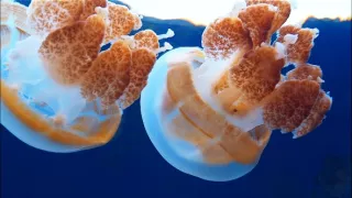 Život v extrémních podmínkách (3/3)