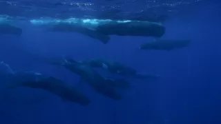 Život v extrémních podmínkách (3/3)