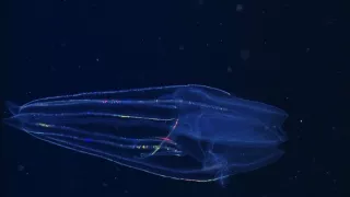 Život v extrémních podmínkách (3/3)