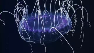 Život v extrémních podmínkách (3/3)