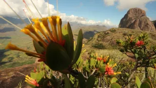 Madagaskar, osobne a zblízka