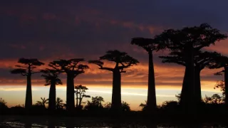 Madagaskar, osobne a zblízka