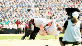 Švajčiarsko, v lone Álp