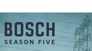 Bosch V (4)