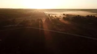 Delta Odry - divočina bez hraníc