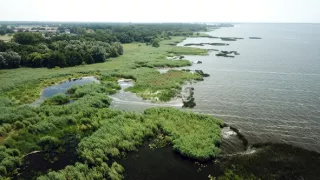 Delta Odry - divočina bez hraníc