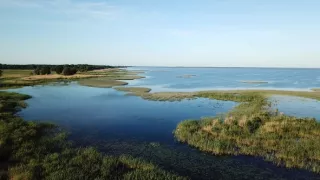 Delta Odry - divočina bez hraníc