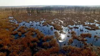 Delta Odry - divočina bez hraníc