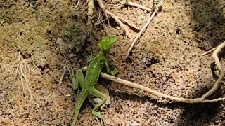 V srdci Strednej Ameriky (1/2)