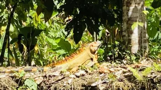 V srdci Strednej Ameriky (1/2)