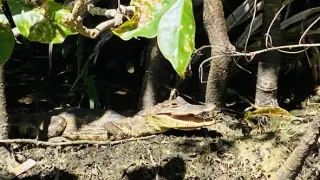 V srdci Strednej Ameriky (1/2)