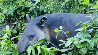 V srdci Strednej Ameriky (1/2)