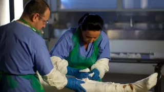 Mumifikácia taxikára Alana - Posledné egyptské tajomstvo