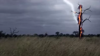 Planéta Zem - živý organizmus (2/2)