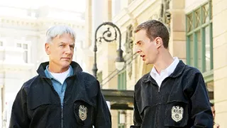 NCIS - Námorný vyšetrovací úrad VIII (6)