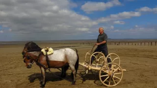 Kelti proti Rimanom (3/3)