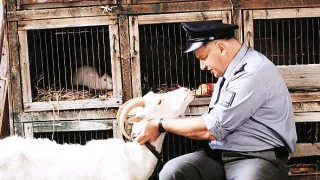 Byl jednou jeden polda 3: Major Maisner a tančící drak