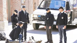 NCIS - Námorný vyšetrovací úrad VIII (11)