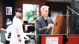 NCIS - Námorný vyšetrovací úrad VII (8)