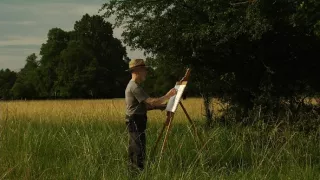 Tajomné stromy na Pohansku