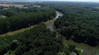 Tajomné stromy na Pohansku